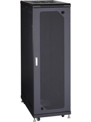 38U SPLIT REAR DOOR CABINET 24I NW X 40IND MESH FRONT