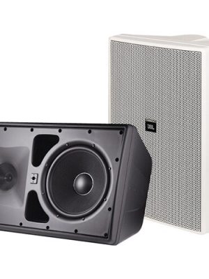 CONTROL 30-WH HIGH OUTPUT INDOOR/OUTDOOR 3WAY MONITORLOUDSPKR