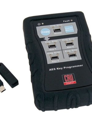 100PK ENCRYPTION KEY BLANK MINI-USB