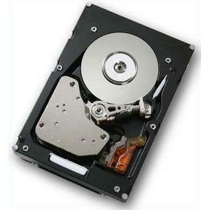 HGST HITACHI FIBRE / FIBER CHANNEL HARD DRIVE