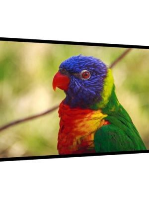 65IN HIGH BRIGHT LCD 800NIT FHD INDOOR DVI-D HDMI DP RJ45 12MS
