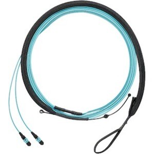 Panduit OS2 12F HARNESS LSZH MPO F/PUSH F9TRL5NQSSNM002