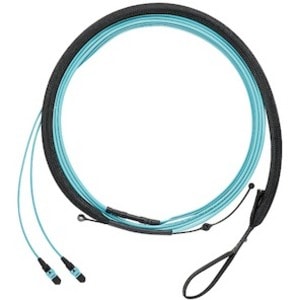 Panduit OS2 12F HARNESS LSZH MPO F/PUSH F9TRL5NQSSNM006