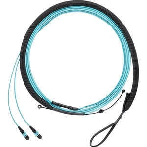 Panduit OS2 12F HARNESS LSZH MPO F/PUSH F9TRL5NQSSNM007