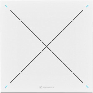 TEAMCONNECT CEILING2