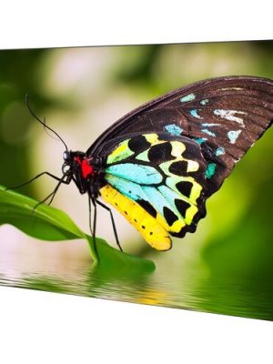 55IN ULTRA-NARROW BEZEL 4 DISPLAY VIDEO WALL