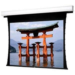 110IN DIAG ADV DELUXE ELEC REG CEIL MATTE WHT 16:9 CUST PAYS FRT