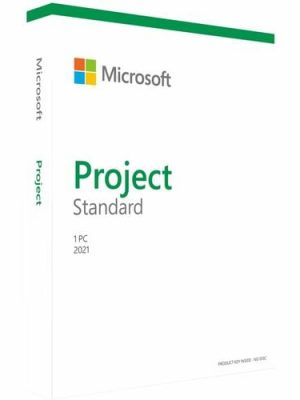 PROJECT STANDARD 2021 WIN ENG P8 1LICS MEDIALESS