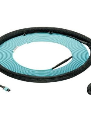 SM 12FB INDOOR SMALL DIAM TRUNK53