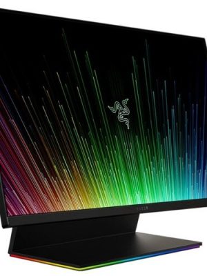 RAPTOR 27 165HZ IPS MONITOR