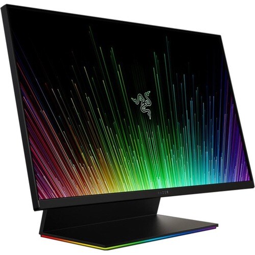 RAPTOR 27 165HZ IPS MONITOR