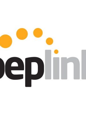 1YR PEPLINK ESSENTIALCARE FOR 310X 5G