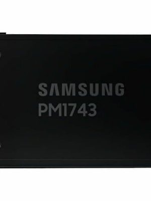 SAMSUNG PM1743 3.84TB U.2 NVME 3.84TB