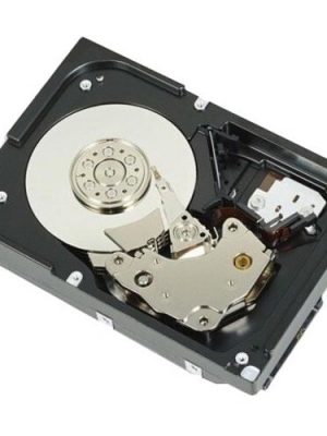 DELL 10TB 3.5 LFF SAS 12GB/S 7.2K RPM_X000D_ 512E NL SAS HOT-PLU