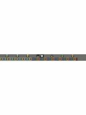 RPDU SWITCHED OUTLET LEVEL MONitoring EC 60A 208V Delta 17.2kW