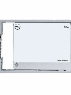 DELL 1.92TB ENTERPRISE NVME U2 GEN4 RI SSD W/CARRIER