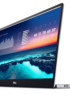 DELL 14IN PORTABLE MONITOR C1422H