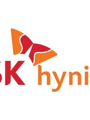 HYNIX 32GB UDIMM 288-PIN MEMORY MODULE