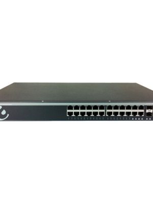 24PORT GIGABIT L2 SWITCH W/ 10GPERP